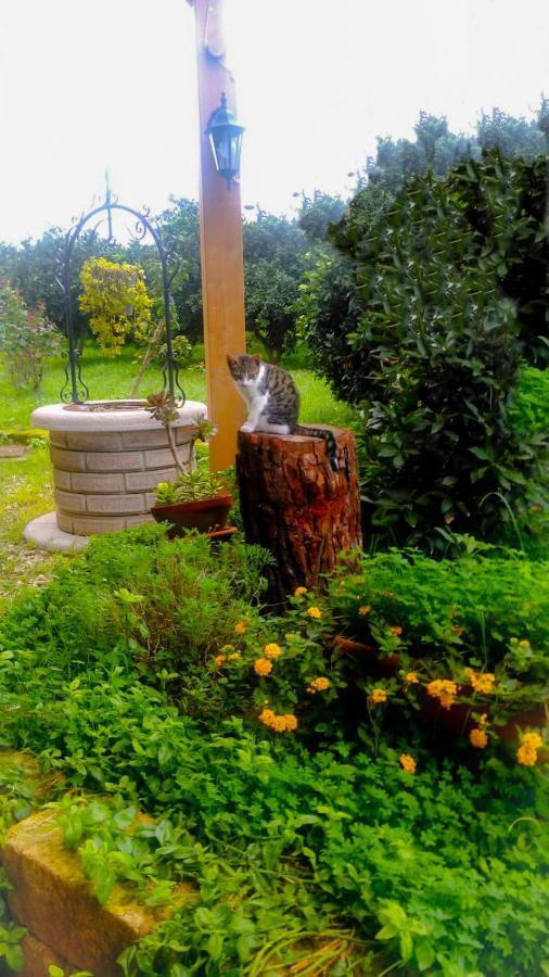 Il Giardino Del Sole Villa Аньоне Бани Екстериор снимка