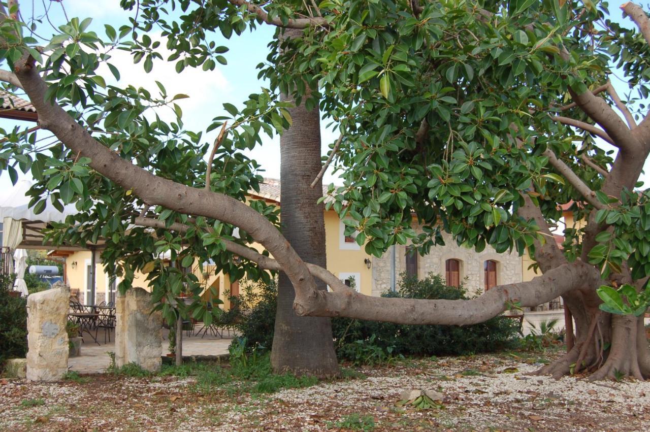 Il Giardino Del Sole Villa Аньоне Бани Екстериор снимка
