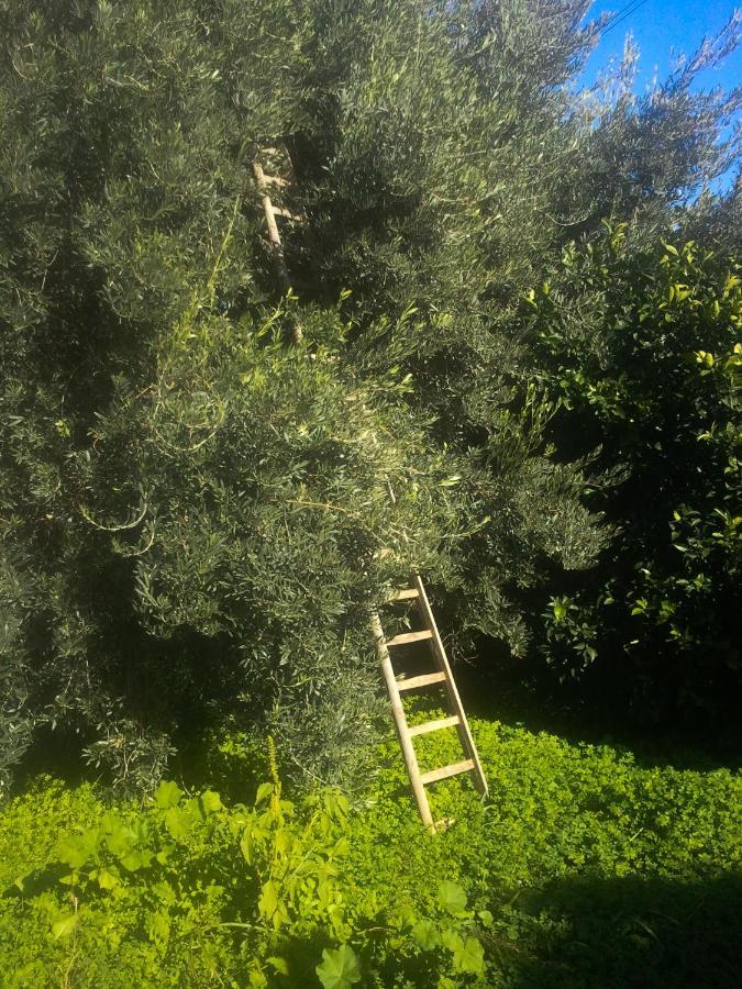 Il Giardino Del Sole Villa Аньоне Бани Екстериор снимка