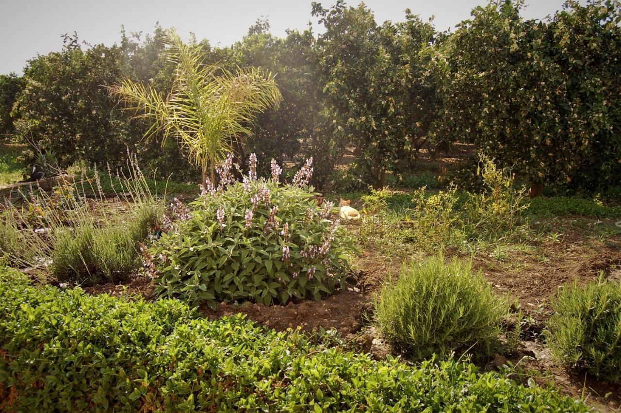 Il Giardino Del Sole Villa Аньоне Бани Екстериор снимка
